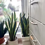 Sardegna Del Nord - Bellissima Casa Con Terrazza - Internet Wifi Apartmán Laerru