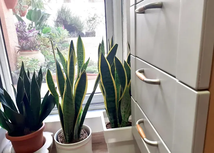 Sardegna Del Nord - Bellissima Casa Con Terrazza - Internet Wifi Apartment Laerru